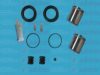 AUTOFREN SEINSA D41084C Repair Kit, brake caliper
